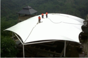 perawatan atap membrane