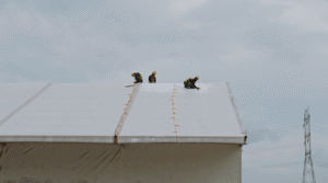 perawatan atap membrane